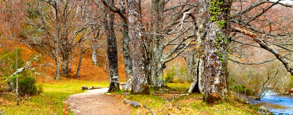 Que ver y hacer en la Sierra de Madrid