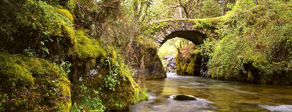 naturaleza en Madrid en época de Covid